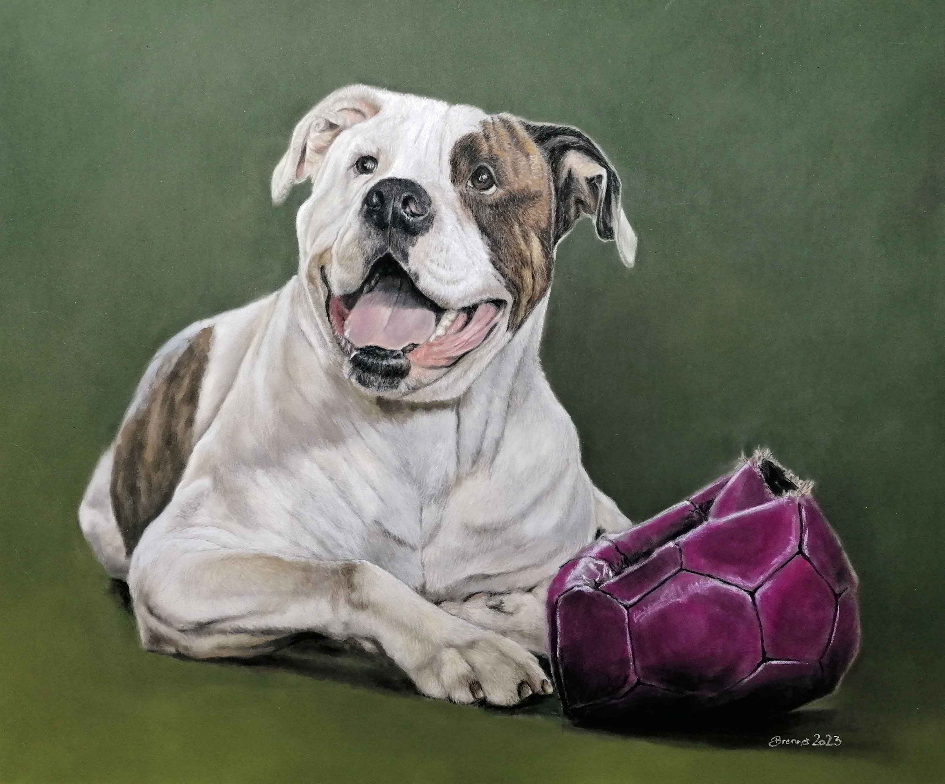  Porträt vom Hund - Die schönste Zeichnung von deinem Hund Illustration 